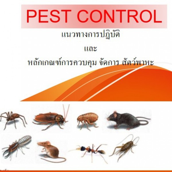 หลักสูตร การบริหารจัดการ การควบคุมแมลงและ สัตว์พาหะนำโรค (PEST Control and Management)
