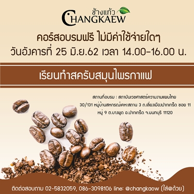 เรียนการทำสครับสมุนไพรกาแฟ